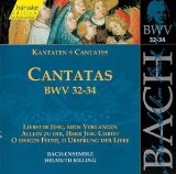 Bach , Johann Sebastian - Cantatas, BWV 27-29 (Edition Bachakademie 9) (Rilling)