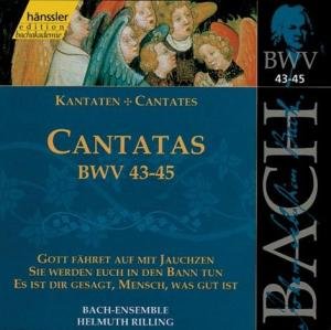  - Edition Bachakademie Vol. 15 (Geistliche Kantaten BWV 43-45)