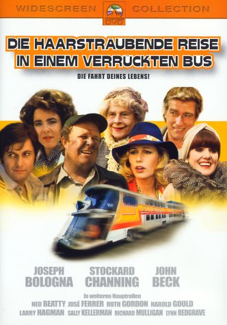DVD - Die haarsträubene reise in einem verrückten bus