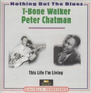 T-Bone Walker - This Life I'm Living (Peter Chatman)(Nothing But The Blues)