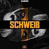 Haudegen - Schweiß