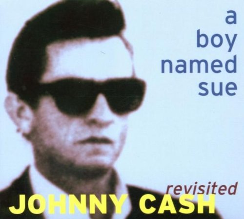Sampler - A boy named sue - Johnny cash revisited