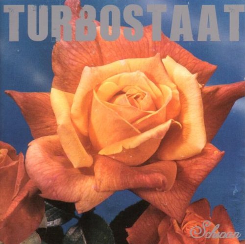 Turbostaat - Schwan