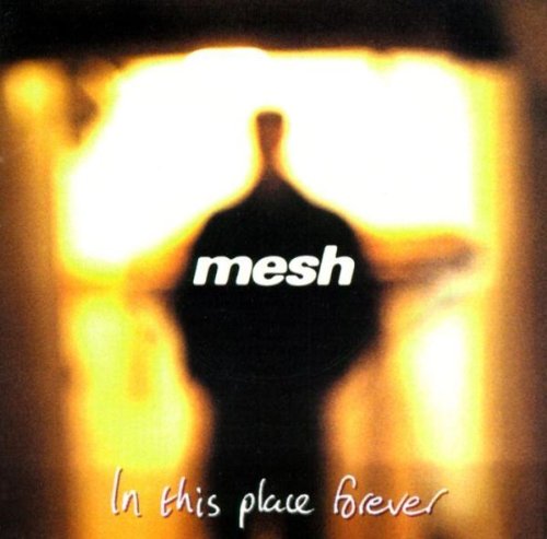 Mesh - In This Place Forever