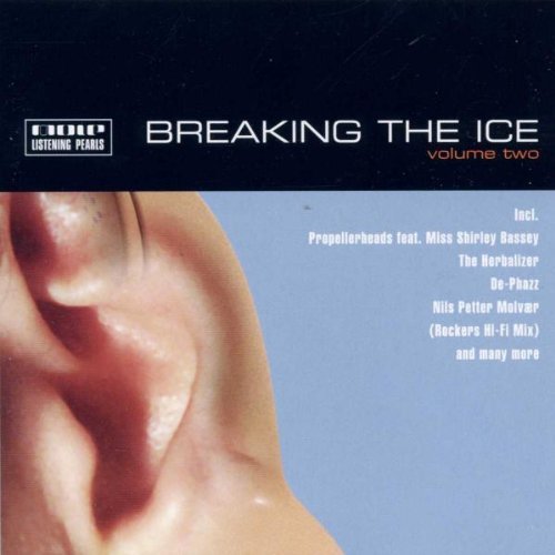 Sampler - Breaking the ice 2