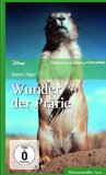 DVD - Weiße Wildnis [2 DVDs]