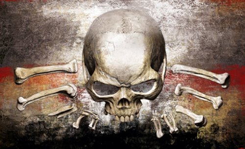 - Risen 2: Dark Waters - Collector's Edition