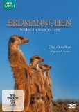  - Die Erdmännchen Gang - Wilde Abenteuer in der Kalahari-Wüste
