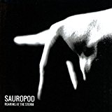 Sauropod - Roaring At The Storm