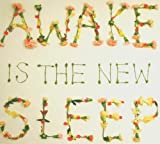 Lee , Ben - Awake is then new sleep