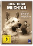 DVD - Rette sich, wer kann