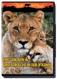 DVD - Daktari - Staffel 1