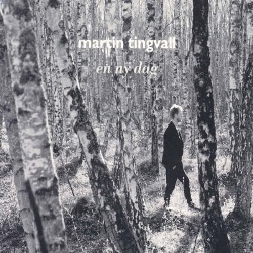 Martin Tingvall - en ny dag