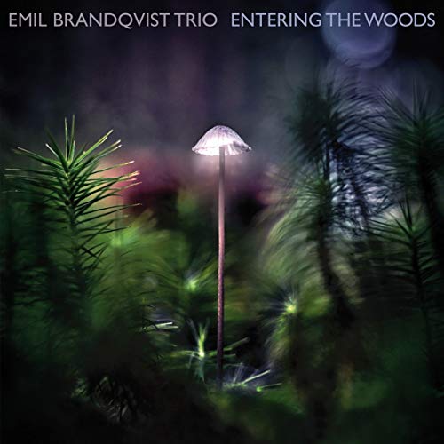 Emil Brandqvist Trio - Entering the Woods (Digipak)