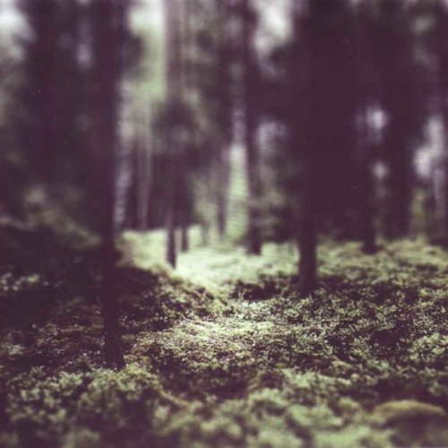 Helge Trio Lien - Hello Troll