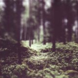 Lien , Helge Trio - Natsukashii