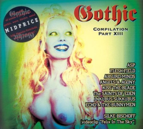 Various - Gothic Compilation 13