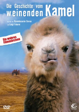 DVD - Die Geschichte vom weinenden Kamel