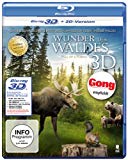 Blu-ray - Faszination Wüste - Gobi: Größte Steppenwüste Asiens (SKY VISION) [3D Blu-ray + 2D Version]