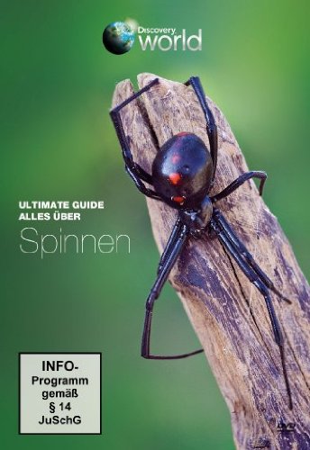  - Ultimate Guide - Alles über Spinnen