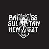 Bass Sultan Hengzt - 2ahltag: Riot