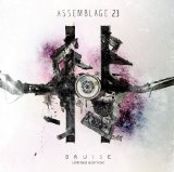 Assemblage 23 - Storm