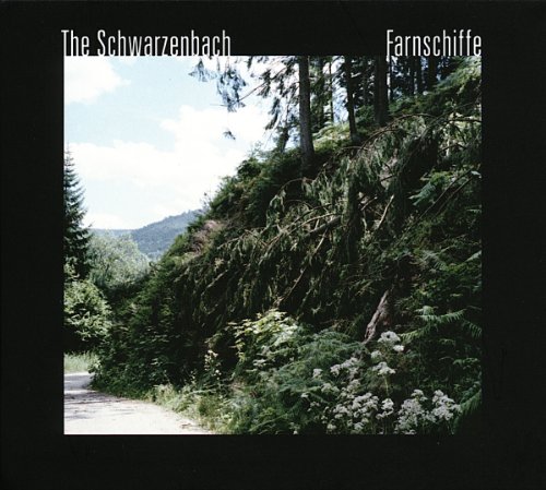Schwarzenbach , The - Farnschiffe
