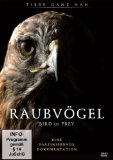  - Ultimate Guide - Alles über Raubvögel - Discovery World