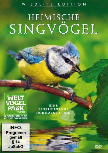- Heimische Singvögel