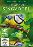 - Die Vogelwelt in Gärten und Parks