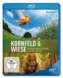 Blu-ray - Wildes Neuseeland - Ein Paradies auf Erden [Blu-ray]