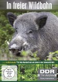  - Schwarz- und Rotwild, Teil 1 (auf Schwarzwild und Rotwild in Schweden, Jagdfilm DVD)
