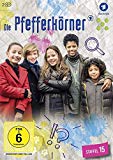  - Die Knickerbocker-Bande / Die komplette 14-teilige Krimiserie nach den Büchern von Thomas Brezina (Pidax Serien-Klassiker) [2 DVDs]