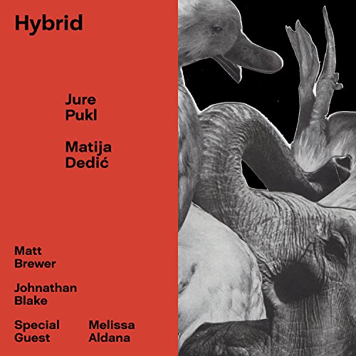 Pukl , Jure & Dedic , Matija - Hybrid