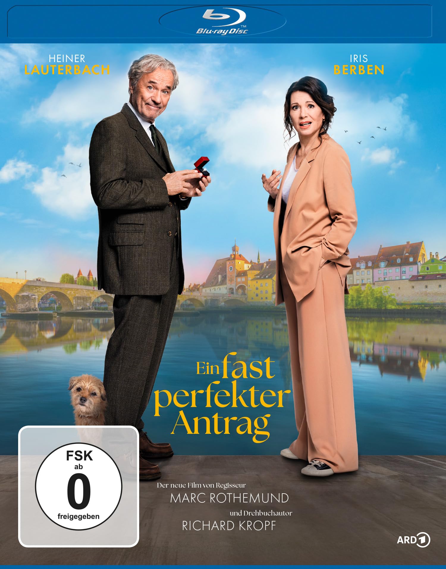 Blu-ray - Ein fast perfekter Antrag BD
