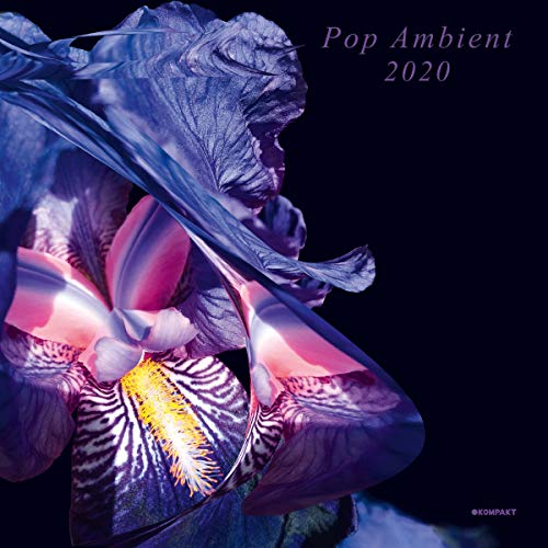 Sampler - Pop Ambient 2020