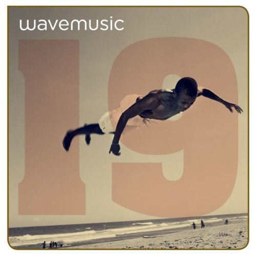 Various - Wavemusic Vol.19