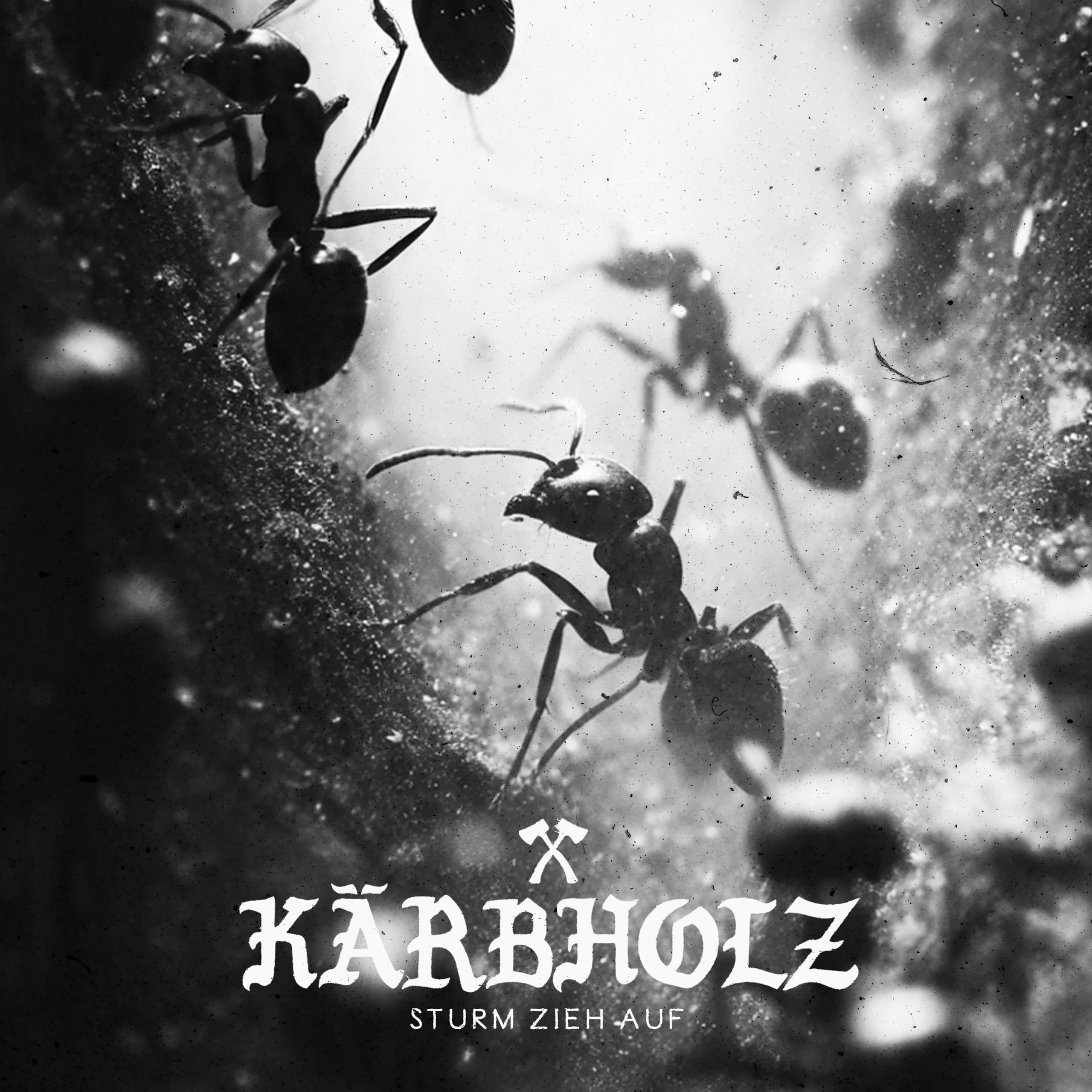 Kärbholz - Sturm zieh auf (DigiPak Edition)