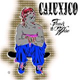 Calexico - Hot Rail (inkl. MP3 Download-Code) [Vinyl LP]