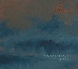 Tindersticks - The Something Rain [Vinyl LP]