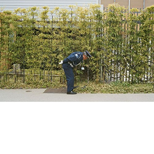 Gold Panda - Good Luck and Do Your Best (Vinyl) [Vinyl LP]