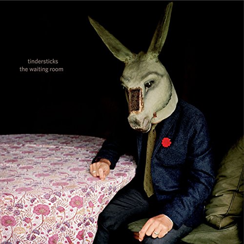 Tindersticks - The Waiting Room (Vinyl) [Vinyl LP]