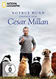 DVD - National Geographic - Cesar Millan: Neues vom Hundeflüsterer [3 DVDs]