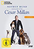DVD - National Geographic: Notruf Hund - Einsatz für Cesar Millan [2 DVDs]
