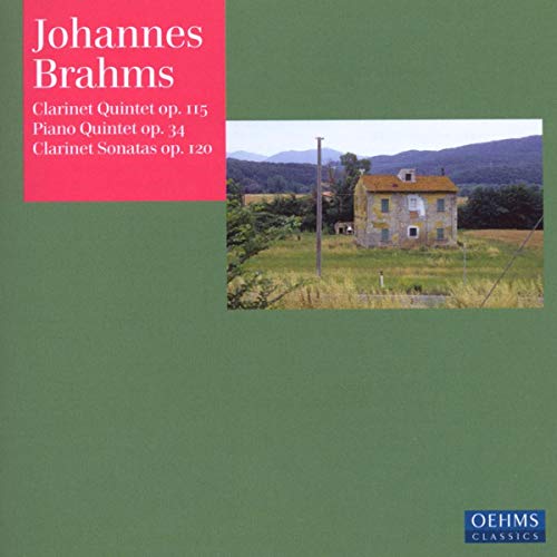 Manno, Perl, Brahms,Johannes - Kammermusik Op.115/Op.34/Op.120