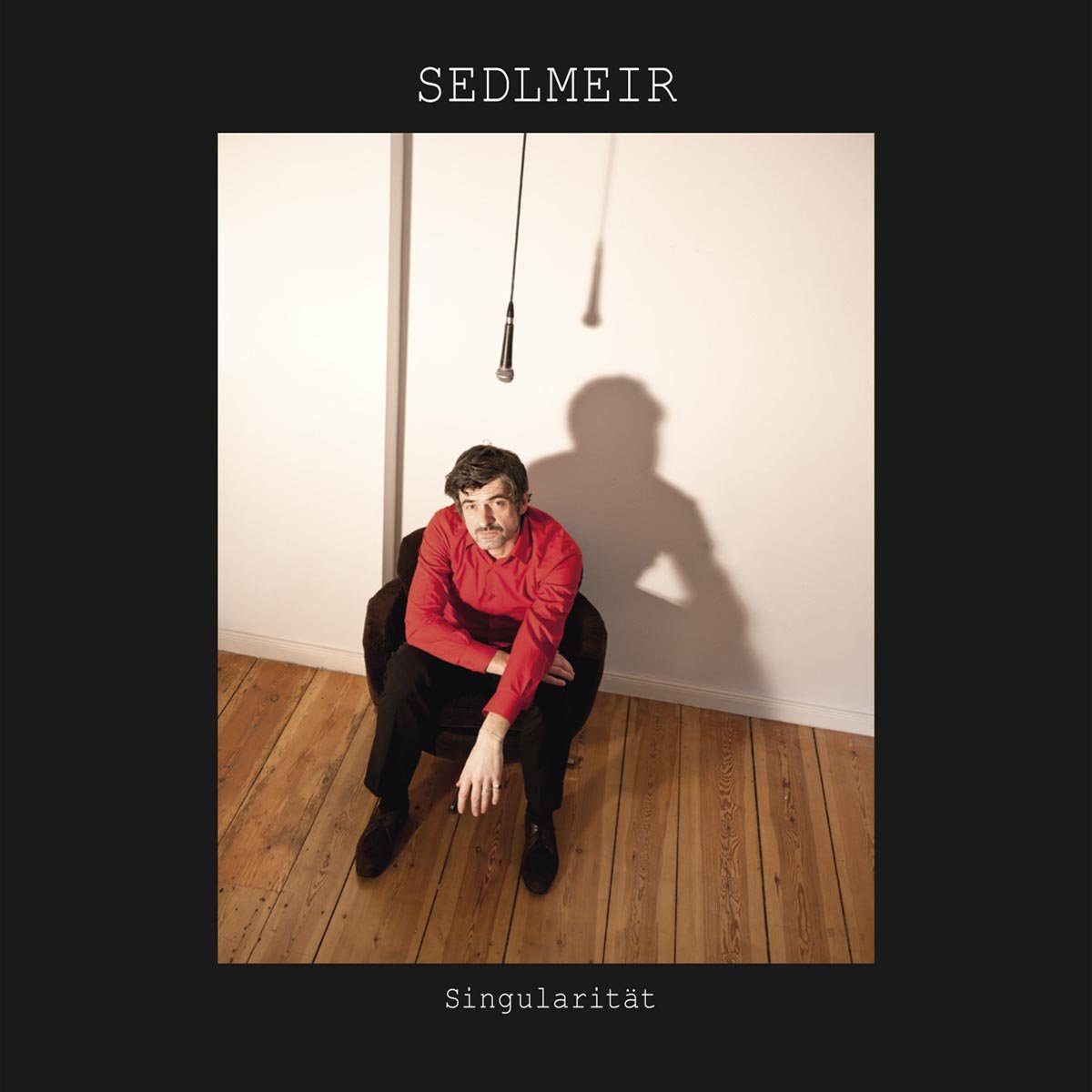 Sedlmeir - Singularität