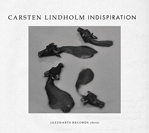 Carsten Lindholm - Indispiration