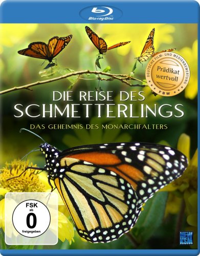  - Die Reise des Schmetterlings - Das Geheimnis des Monarchfalters [Blu-ray]