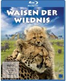  - Circle of Life - Baby Planet (Blu-ray) [Special Edition]