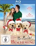  - Golden Winter - Wir suchen ein Zuhause [Blu-ray]